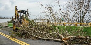 “Porto Rikoluları Trump Yönetiminin İhmali Öldürdü”