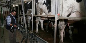 Ucuz Süt İçin “Aracı Sayısı Azaltılsın” Önerisi