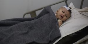 Doğu Gutalı Hani Bebek de Hayatını Kaybetti!