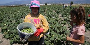 Başbakanlıktan “Çocuk İşçiliği ile Mücadele” Genelgesi