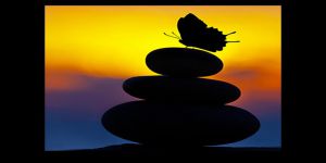 Dinimize Hizmetin İç Meseleleri