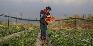 ‘Devlete Ait Verimli Toprakları Tarım Amaçlı Kiraya Verelim’ Çağrısı