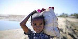 İnsan Hakları Örgütlerinden BM'ye Arakan İçin Çağrı