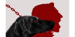 Yalanlardan Örülü “Hakikat-Sonrası Çağ”da Doğru ve Dürüst Kalabilmek