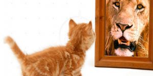 Narsisizmi Özgüven ile Karıştırmak