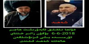 Abdürreşid Hacim Doğu Türkistan'da Şehid Edildi