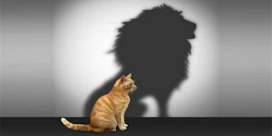 Özgüvenli İnsan ile Narsist Nasıl Ayırt Edilir?