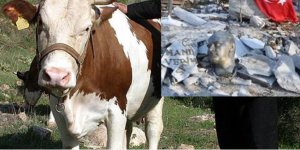 68 Yıllık Atatürk’ü Koruma Kanununun Trajikomik Tarihi