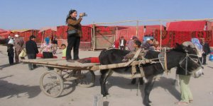 Uygur Profesör Rahile Davut'tan 8 Aydır Haber Alınamıyor