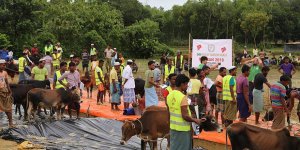 İHH’dan Cox’s Bazar’daki Arakanlı Müslümanlara Kurban Yardımı