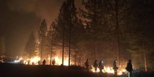 California'daki Yangında Hayatını Kaybedenlerin Sayısı 79'a Yükseldi