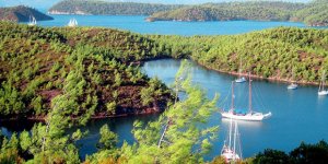 Bu İddialar Doğru mu?