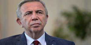 Hayvanlara İşkenceyi Dindar Aile Çocukları Yapıyormuş!