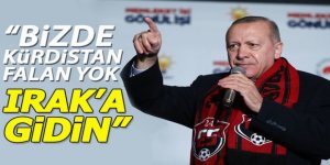 ‘Kürdistan’ Demeyi Suç Haline Getirmek mi?