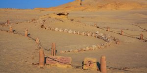 Mısır Çöllerindeki 40 Milyon Yıllık Balina Fosilleri