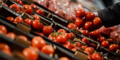 Ukrayna, 38 Ton Domatesi Türkiye’ye İade Etti