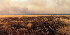 BM: Suriye'de Binlerce Dönümlük Ekili Tarım Arazisi Yakıldı
