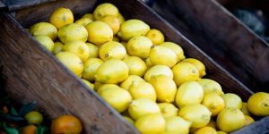 Limon Fiyatları Depoda Çürümesi Nedeniyle Yükseldi