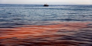 'Marmara Denizi Alarm Veriyor'