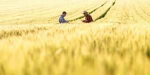 Üniversiteli Çiftçilere 100 Bin Liraya Kadar Hibe