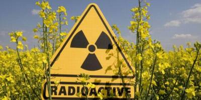 Rusya'dan Nükleer İtirafı: Radyasyon 16 Katına Çıktı