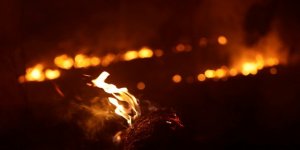 Amazonlar'da Yangın Yoğunluğu Rekor Düzeye Ulaştı