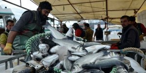 Su Ürünleri Av Sezonu Açılıyor