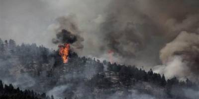 9 İlde Çıkan Orman Yangınlarının Tamamı Söndürüldü