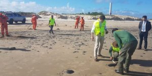 Brezilya Kıyılarında 100 Tondan Fazla Petrol Sızıntısı Tespit Edildi