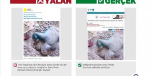 PKK/PYD, Müttefiklerinin Gerçekleştirdiği Katliamların Fotoğraflarıyla Manipülasyon Yapıyor
