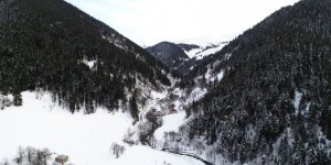 Yaylalar Beyaza Büründü 