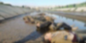 Halep ‘Şehitler Nehri’ Katliamının 7’nci Yılı