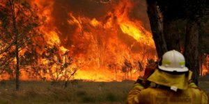 Avustralya'nın Başkent Bölgesindeki Yangın 55 Bin Hektardan Fazla Alanı Kül Etti