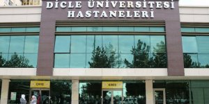 Diyarbakır’da Bir Kişi Domuz Gribinden Hayatını Kaybetti