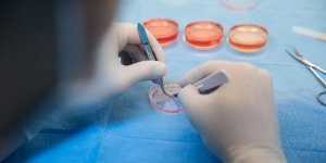 Robert Koch Enstitüsü'nün SARS-Koronavirüs Senaryosu