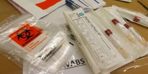 Hollanda'da Koronavirüsten Ölenlerin Sayısı Bini Aştı