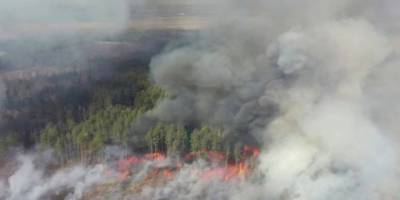 Ukrayna'da Nükleer Tesis Yakınındaki Yangın Söndürüldü