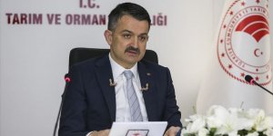 Kovid-19 Aşısı İçin Anti Serum Çalışmaları Başladı