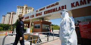 Cezaevlerindeki Korona Vakalarına İlişkin Rapor