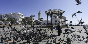 Cezayir'de Kovid-19 Kaynaklı Can Kaybı 825'e Yükseldi