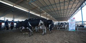 'Gazze'ye Hayat Ol' Platformundan 1750 aileye kurban eti