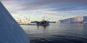 Grönland'da 2019'da rekor düzeyde buzul eridi