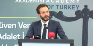 AİHM Başkanından Ankara'da AİHM eski üyesi Alparslan Altan'ın tutukluluğuna eleştiri