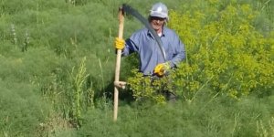 Servet Turgut'un avukatı: Ön otopsi raporunda ölüm sebebi belirlenemedi