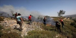 Yahudi işgalci, Filistinlilere ait zeytin ağaçlarını ateşe verdi