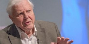 ‘Doğayı korumak için Kapitalist sistemin aşırılıkları dizginlenmeli’