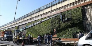 İBB'nin söktüğü dikey bahçeler meclis gündeminde tartışıldı