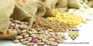 TMO'dan Suriye'deki sivillere ve ihtiyaç sahibi ülkelere un ve bakliyat sağlanacak