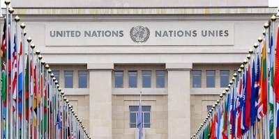 BM: Fransa'daki güvenlik yasa tasarısı Müslümanların fişlenmesine yol açabilir