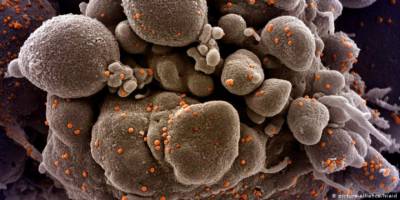 DSÖ'den yeni tür koronavirüse karşı çağrı